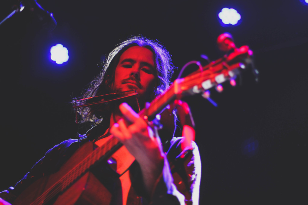 Elvis Perkins