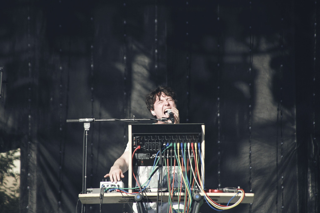 Panda Bear (Erez Avissar)