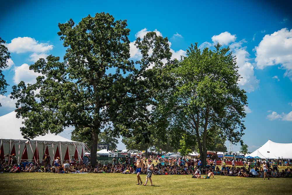 Bonnaroo